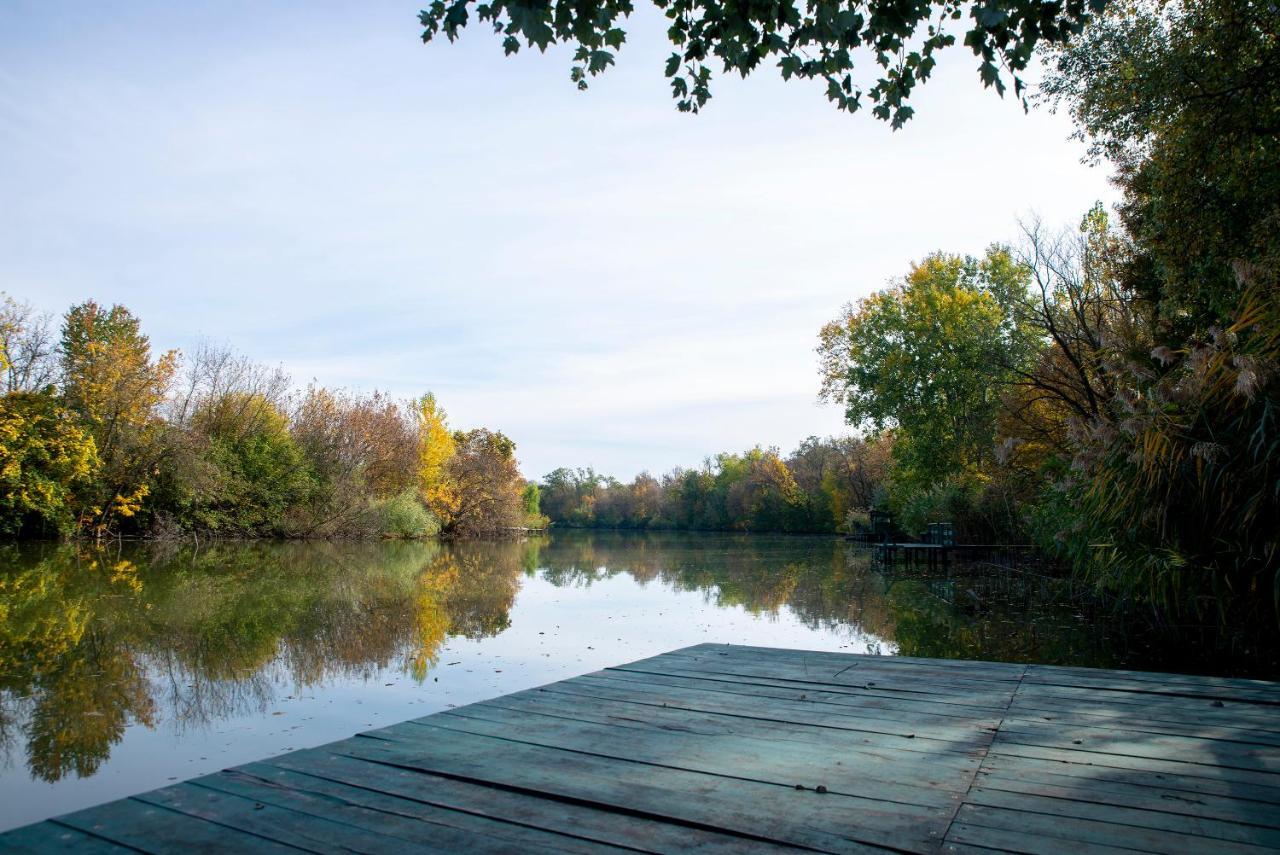 Koeroesparti Wellness Fahaz Villa Gyomaendrőd Dış mekan fotoğraf